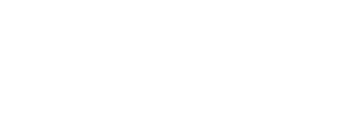 Speaking Consulting Network